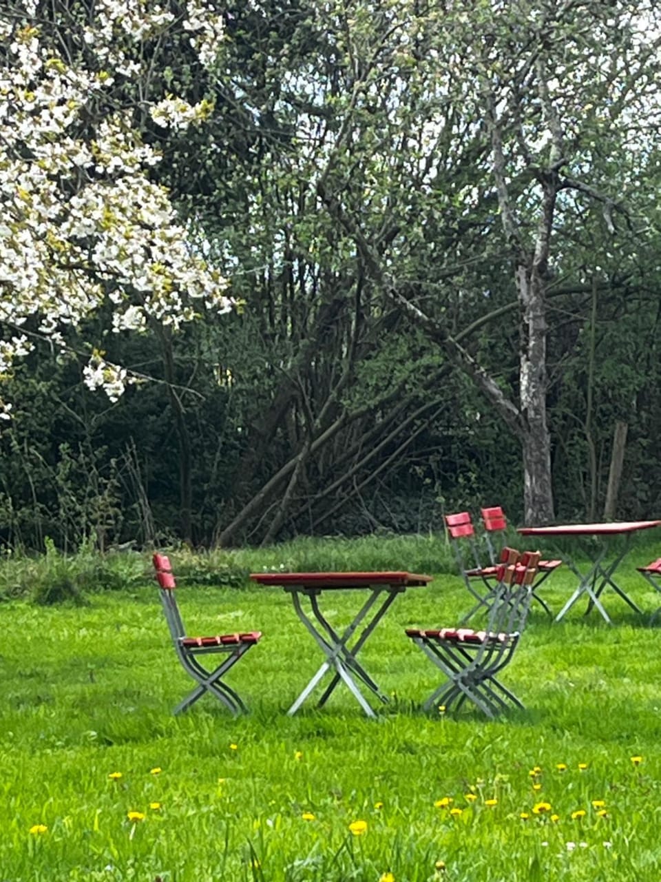 Spring, Garden, Seating area, Garden view, Garden view