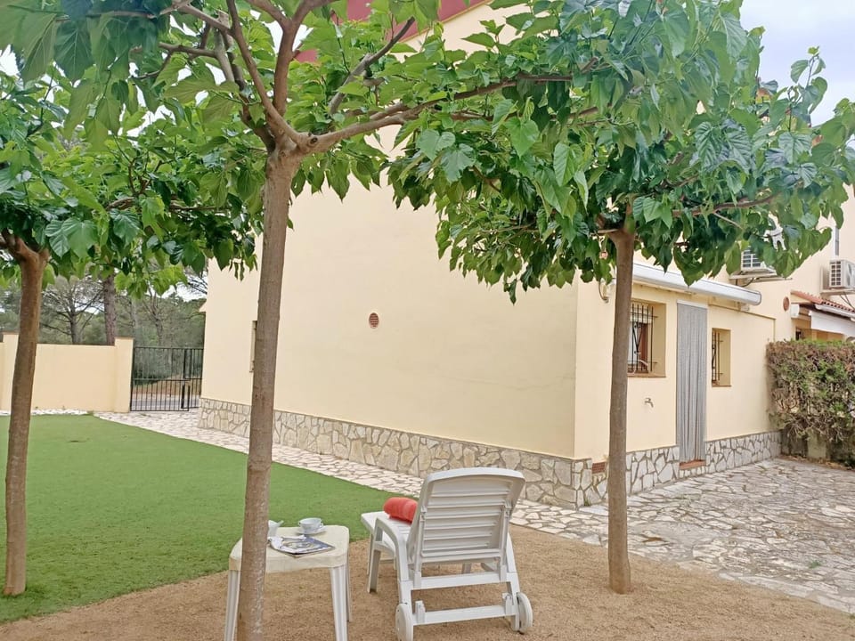 Property building, Patio, Garden, Garden view