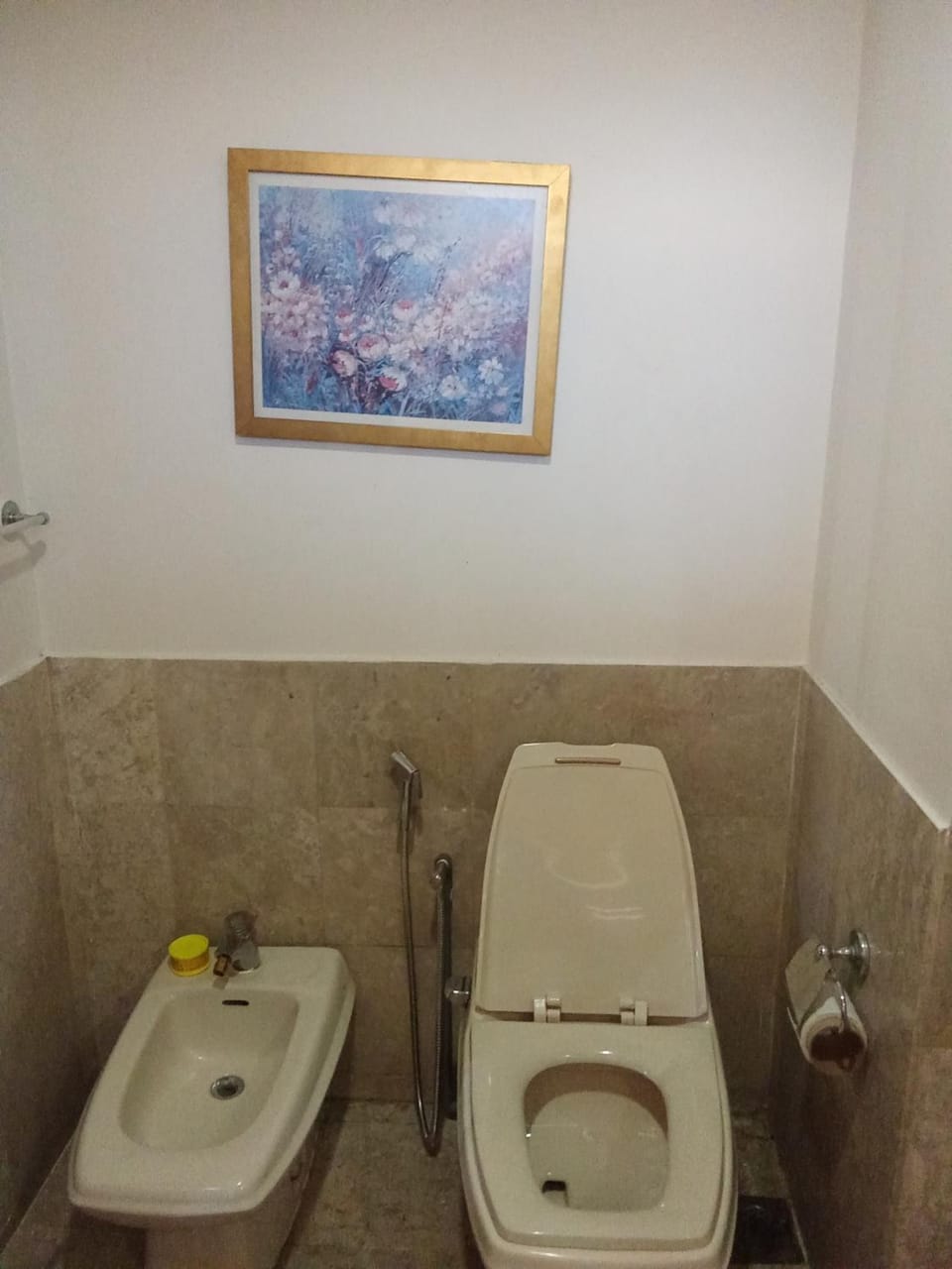 Toilet, Bathroom, bidet