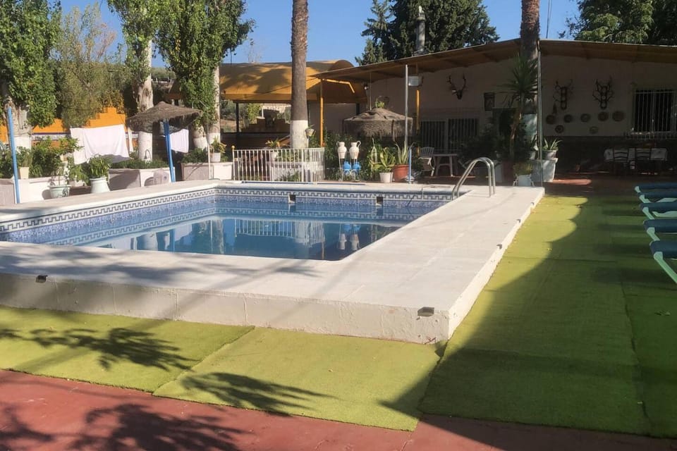 Garden, Garden view, Pool view, Swimming pool, sunbed