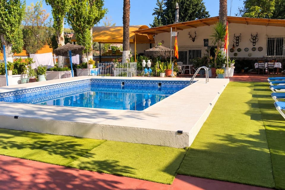 Solarium, Garden view, Swimming pool, sunbed