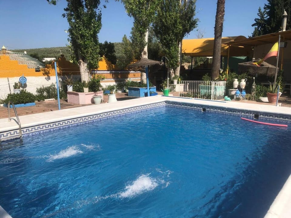 Day, Pool view, Swimming pool, sunbed