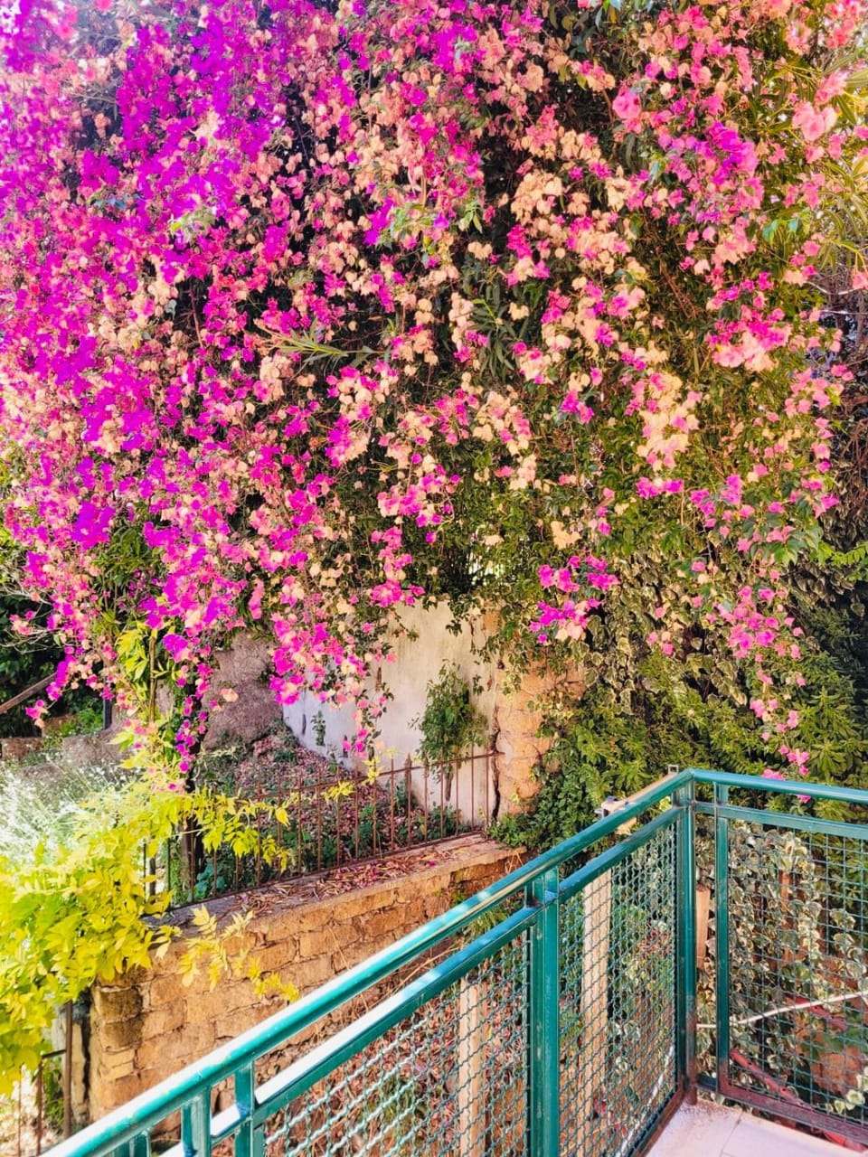 Balcony/Terrace, Balcony/Terrace