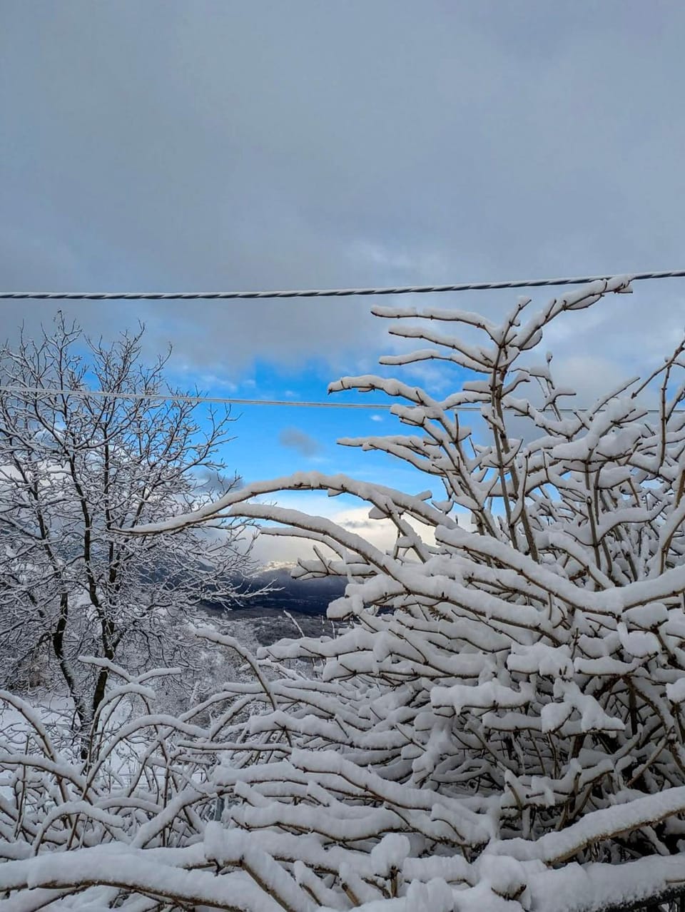 Winter