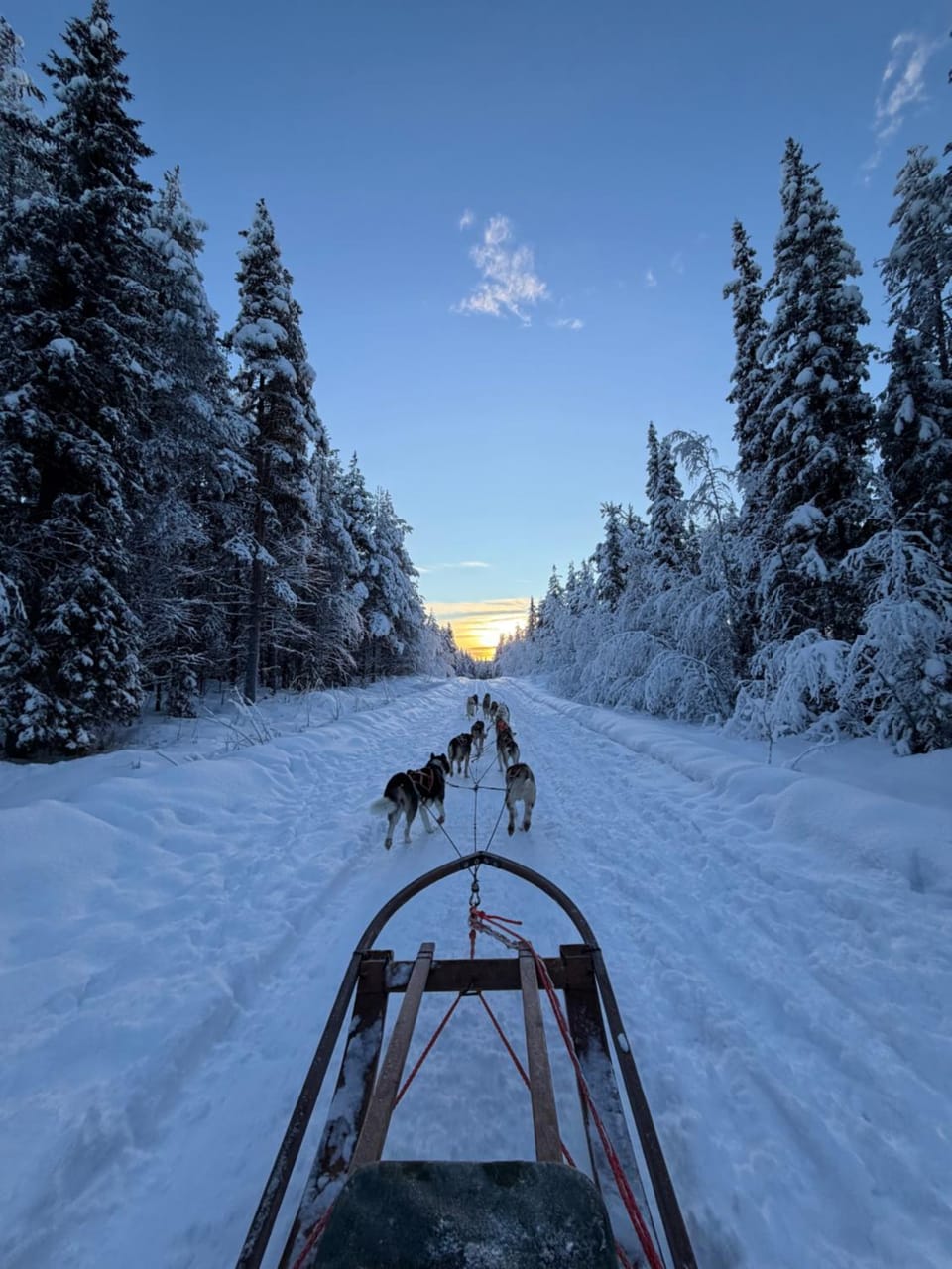 Day, Natural landscape, Activities, Winter