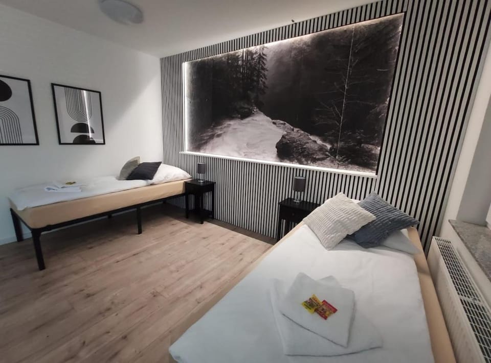6 Persons Design Apartment near Freiburg and Black Forest Apartment in Baden-Württemberg