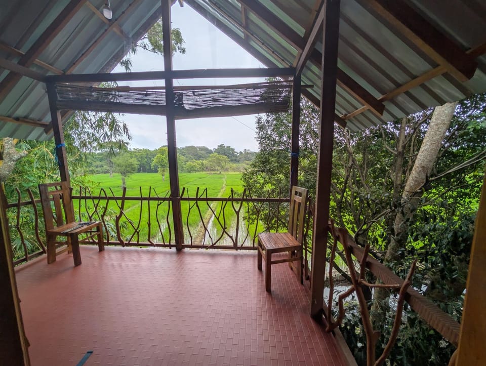 View (from property/room)