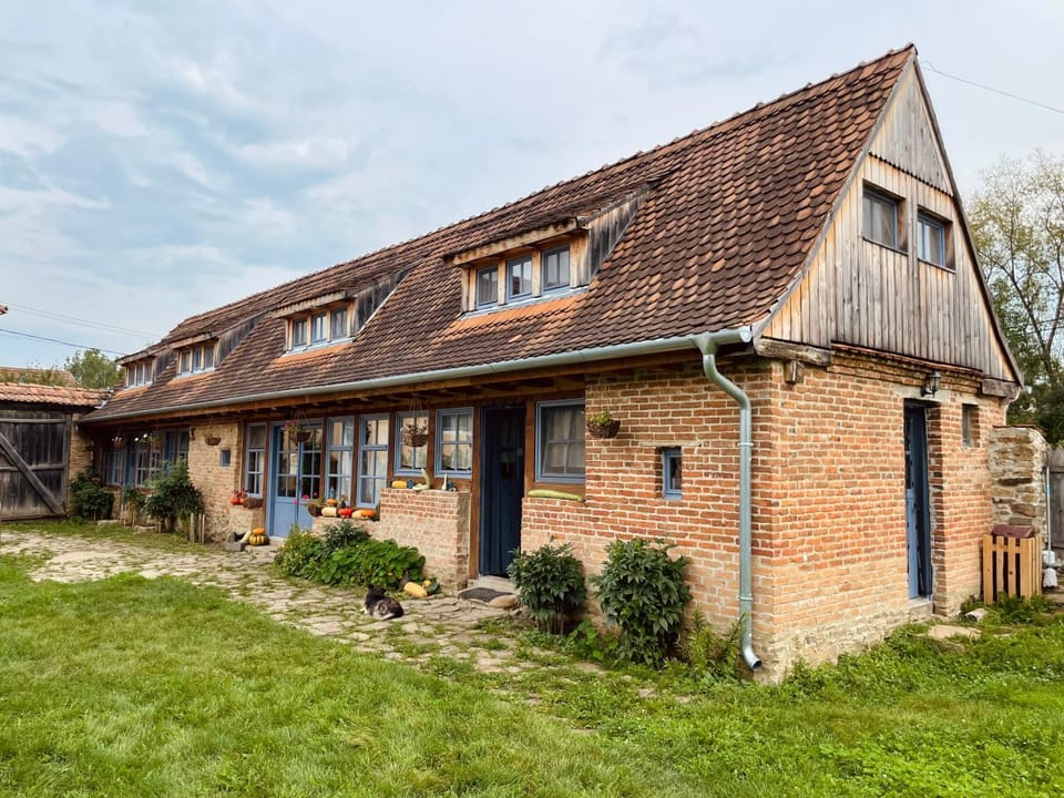 Ferma de Biodiversitate COBOR Bed and Breakfast in Brașov County