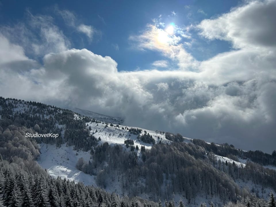 Day, Winter, Mountain view