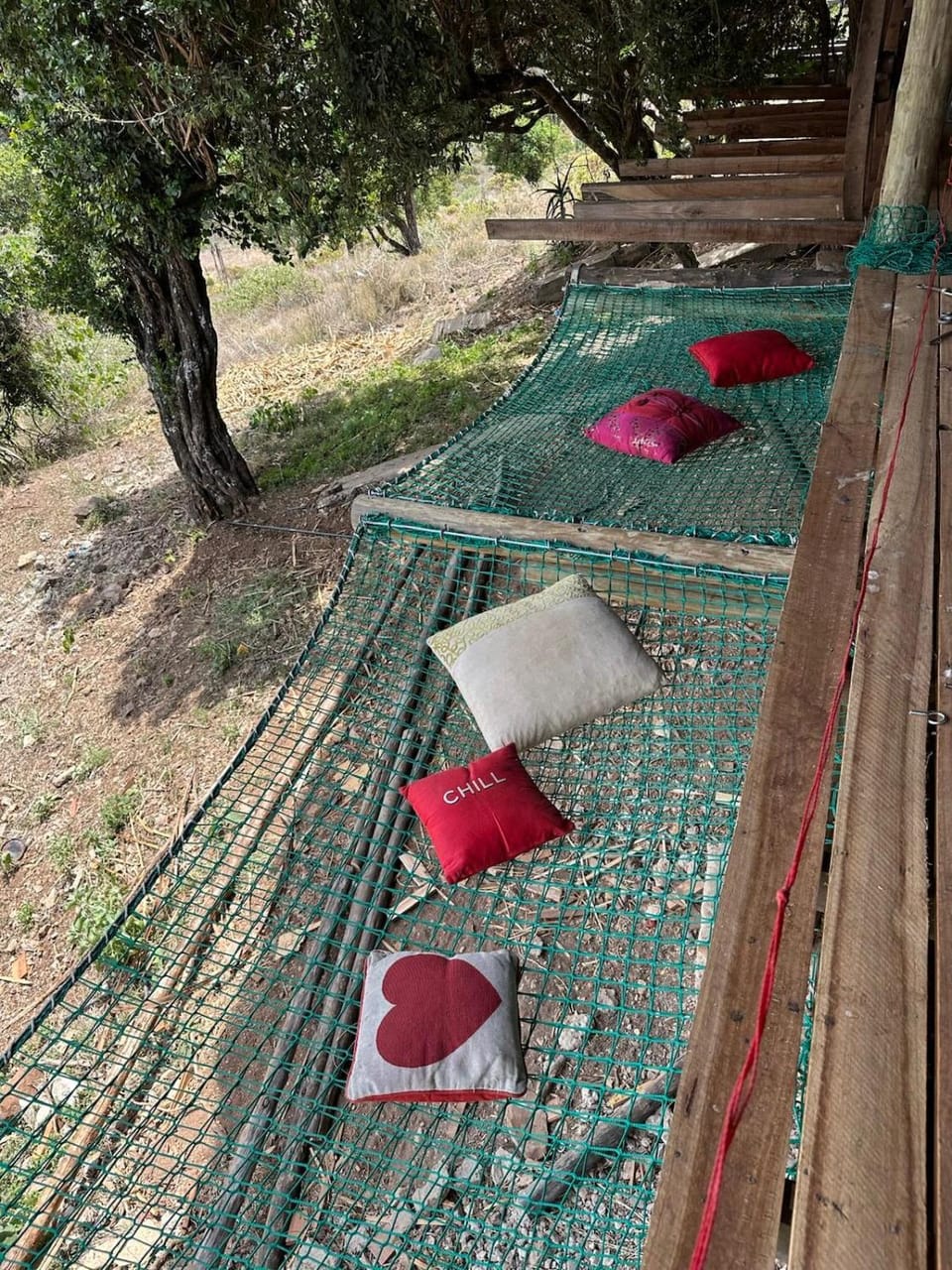 Ole-Lekurruki Ngare Ndare Nature lodge in Kenya