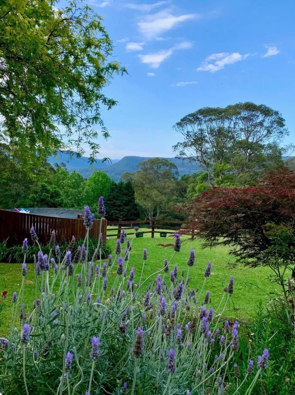 Garden, Garden view, Swimming pool