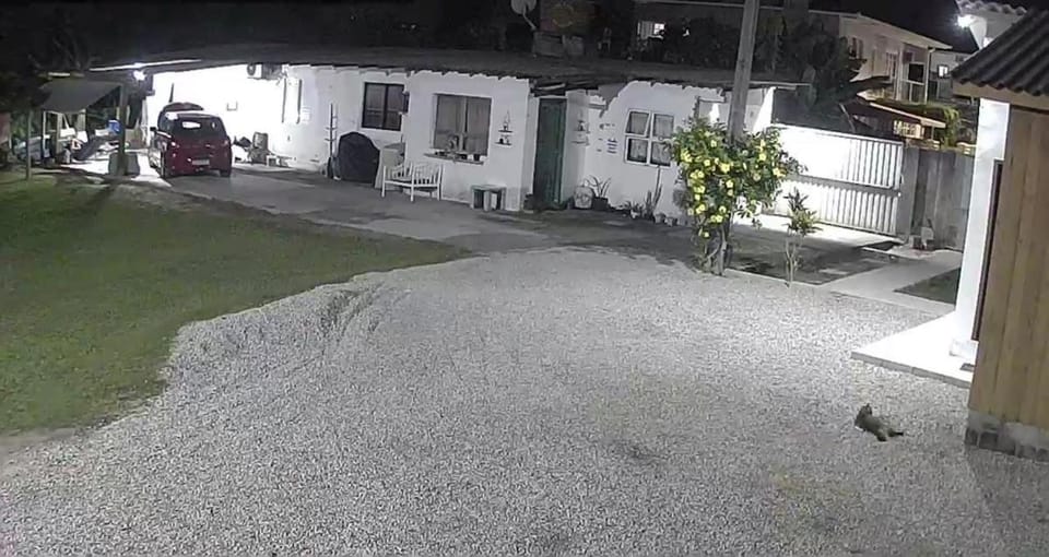 Alquiler rent canasvieiras House in Florianopolis