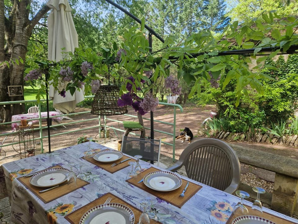 Patio, Spring, Day, Garden, Garden view