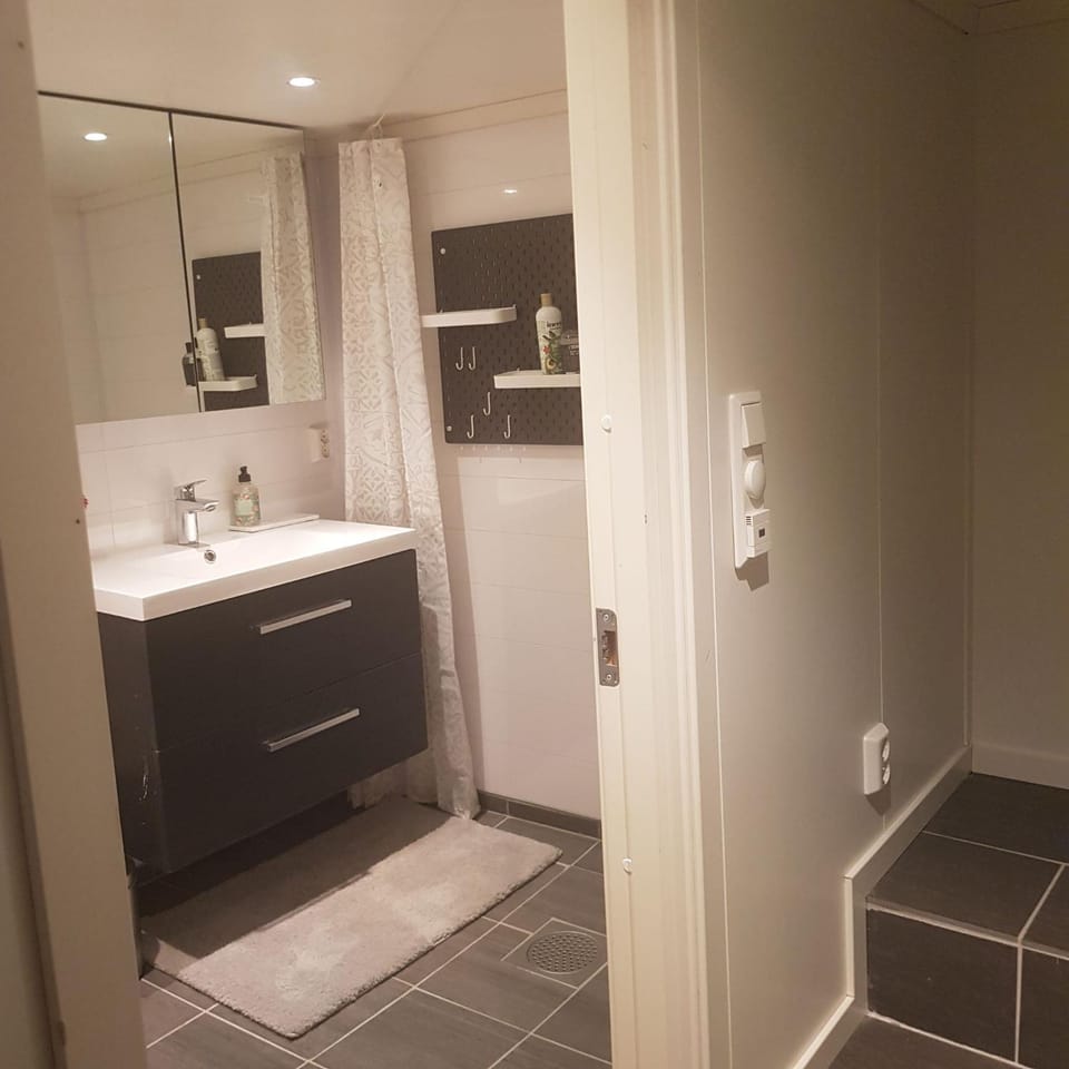 Cosy living room, bedroom and bathroom and kitchen area Apartment in Vestland
