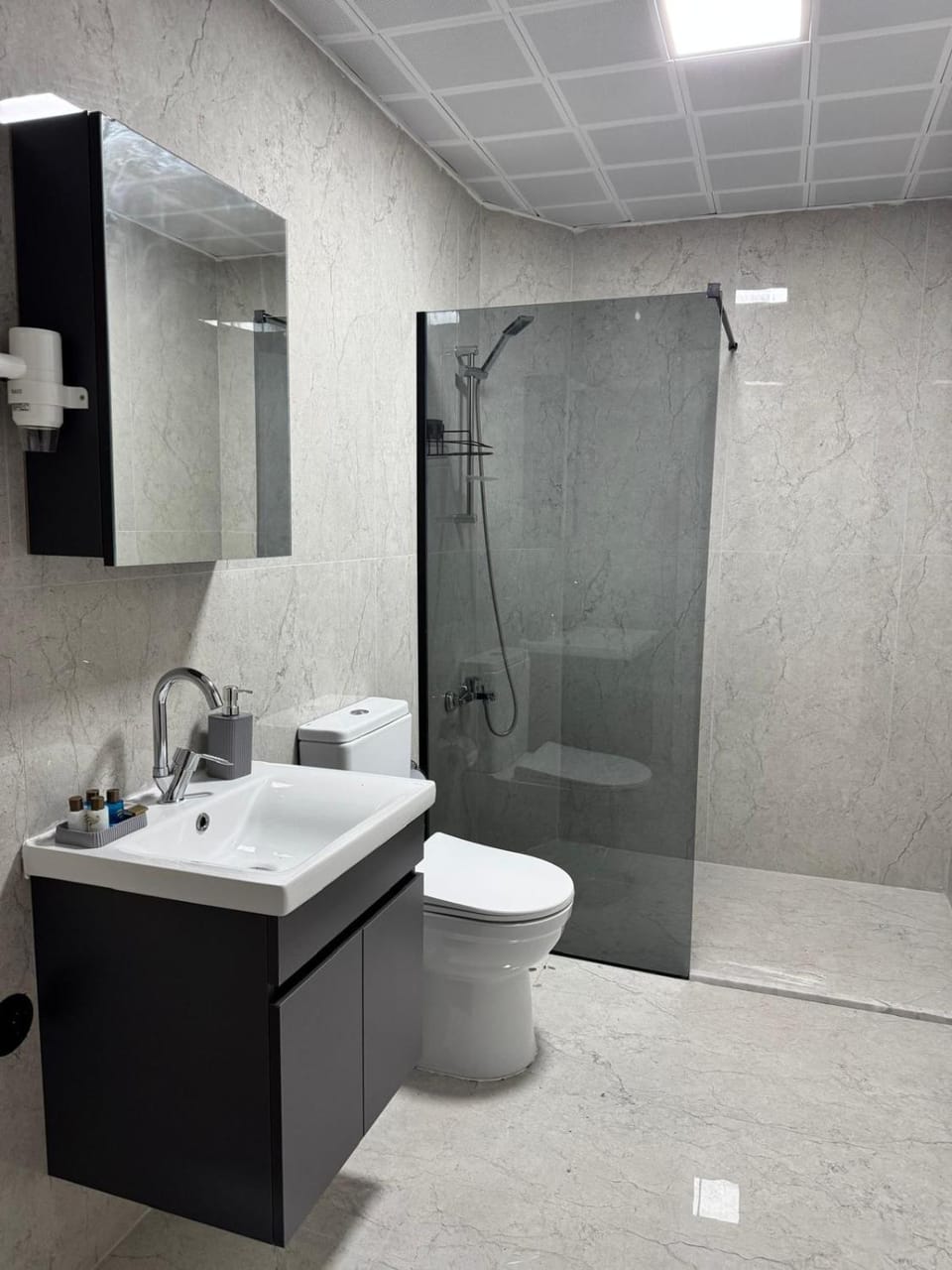 Shower, Toilet, Bathroom