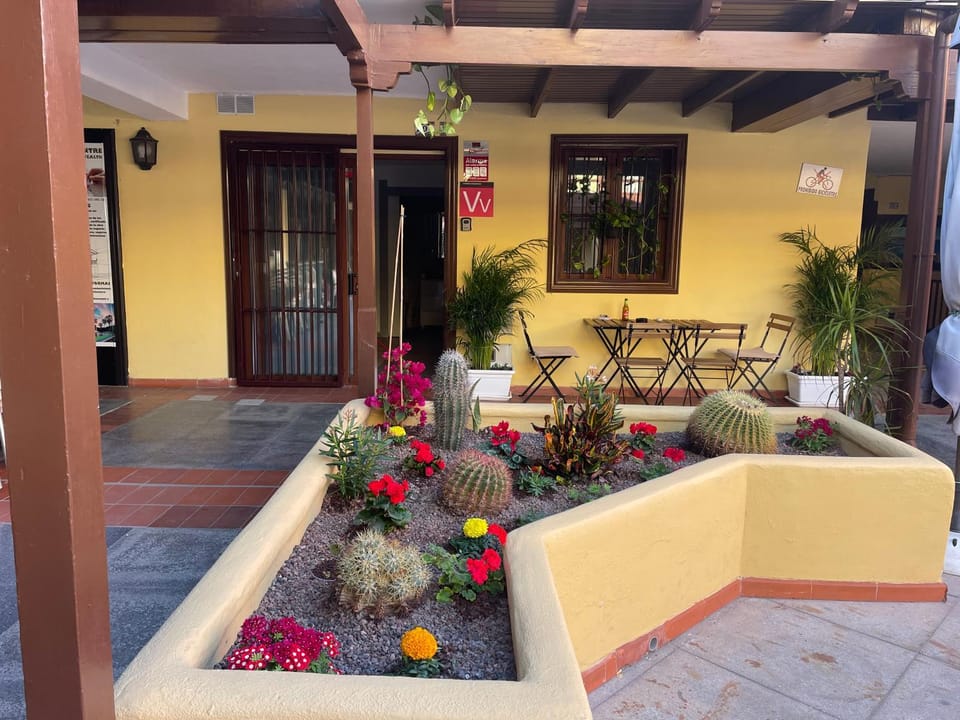 Hidden treasure Apartment in Costa Adeje