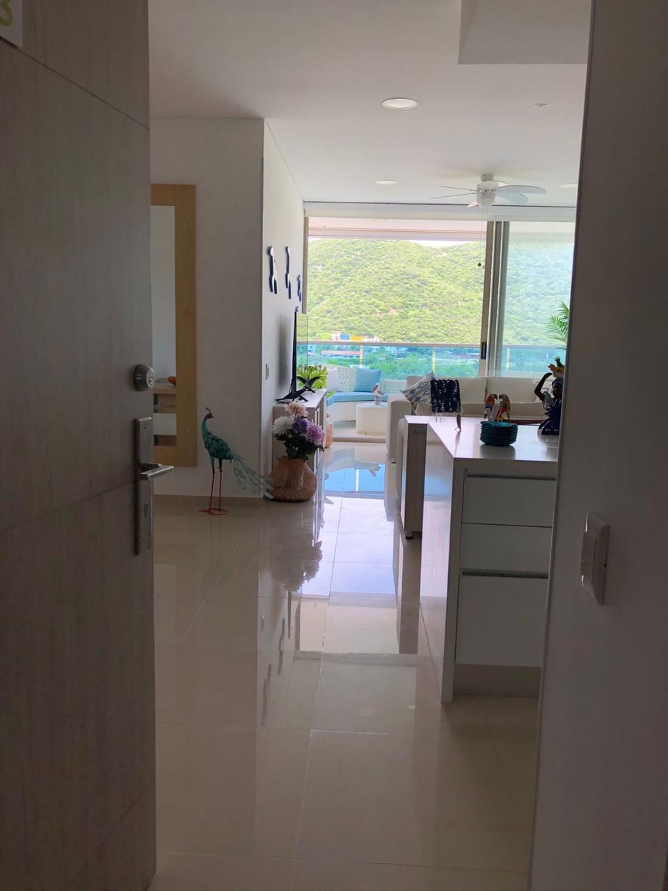 Photo of the whole room