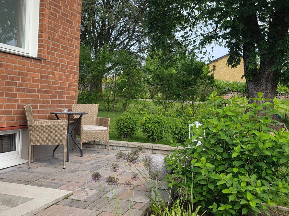 Garden view