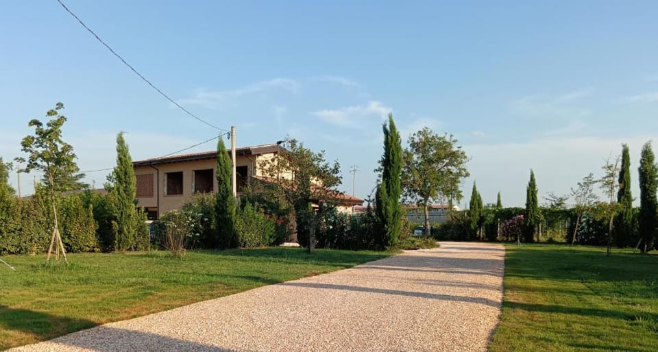 Property building, Garden, Garden view