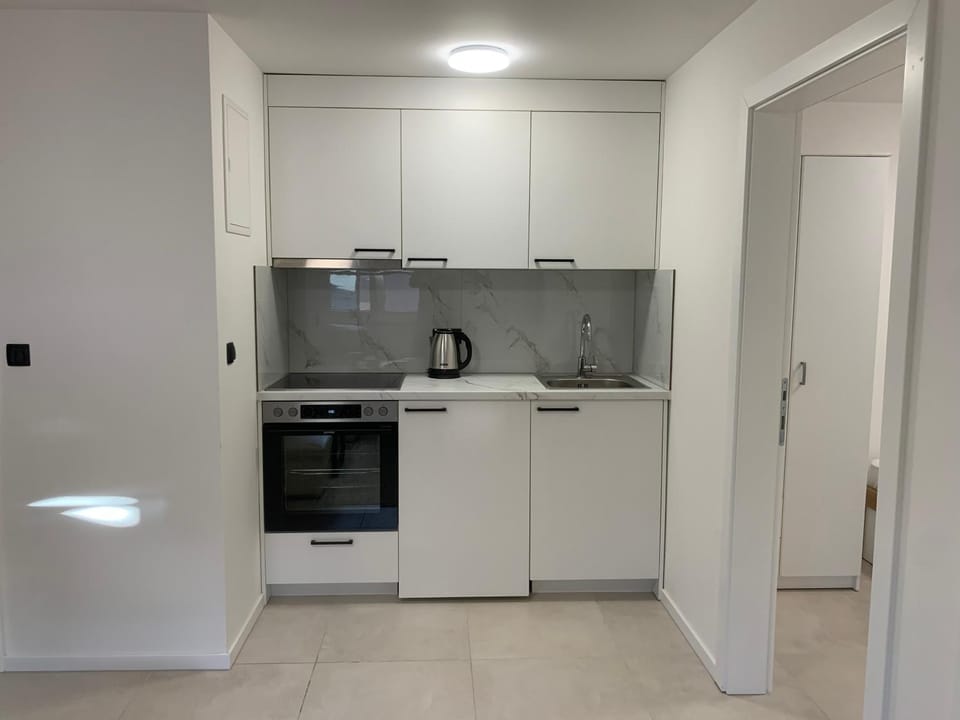 Kitchen or kitchenette, oven, stove