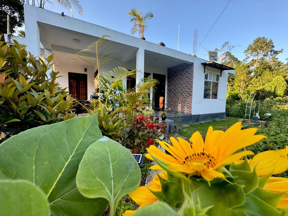 Garden, Garden view