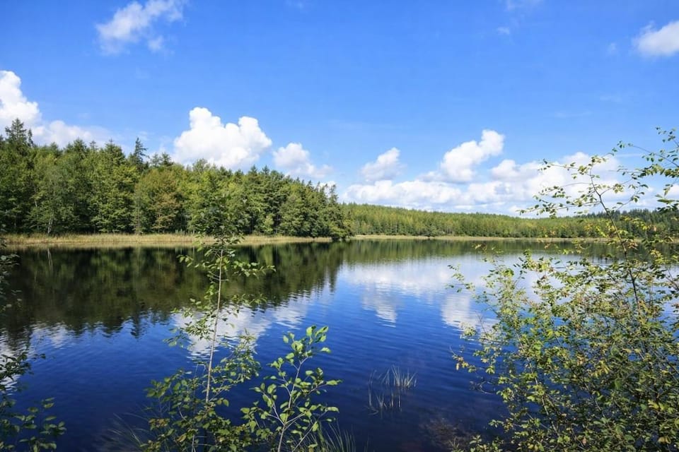 Ferienhaus Ubbaboda - Lake property with its own dock Villa in Skåne County