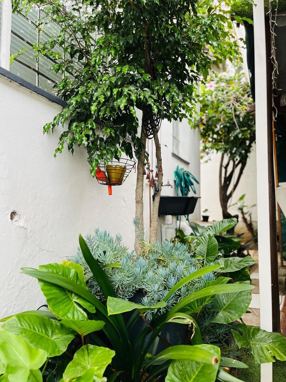 Datas Lodge Apartment in Johannesburg