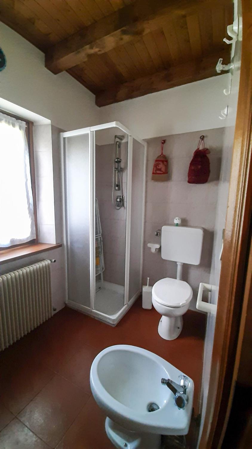 Shower, Toilet, bidet, hair dryier, towels
