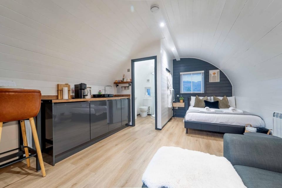 Bed, Kitchen or kitchenette, Living room, Photo of the whole room, Seating area, Bedroom