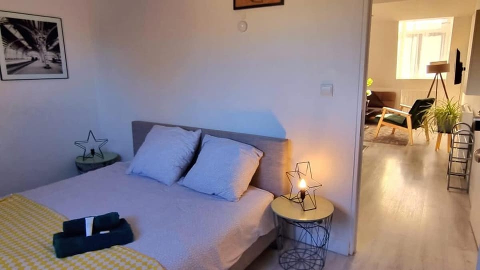 Jasmine-Proche gare Grd Palais Zenith&Centre Apartment in Lille