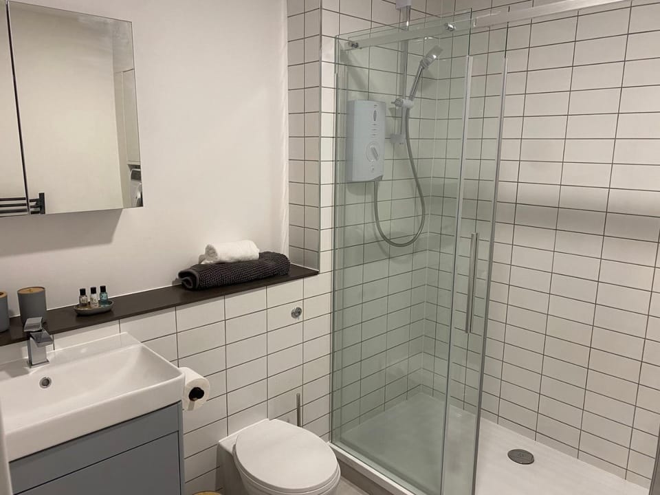 Modern 1-Bed Flat, Old Town Apartment in Swindon