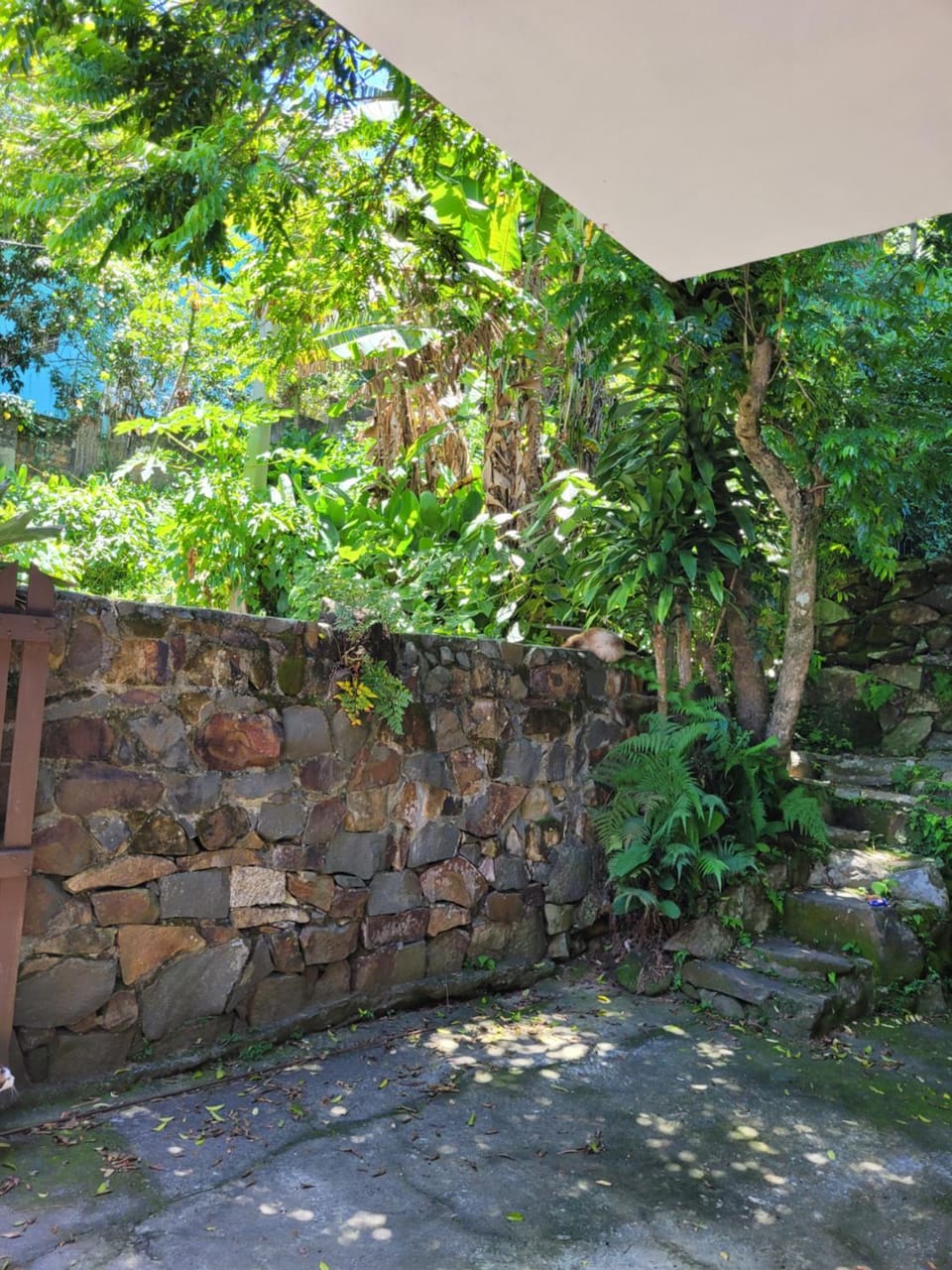 Folia em Floripa é Mole House in Florianopolis