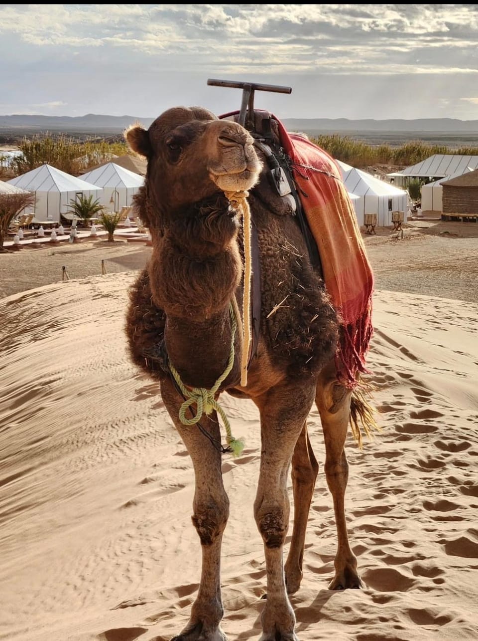 Merzouga desert camp Luxury tent in Morocco