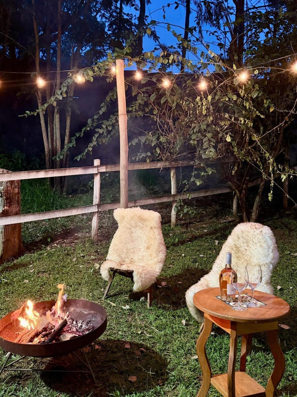 Night, Natural landscape, Garden, Entertainment