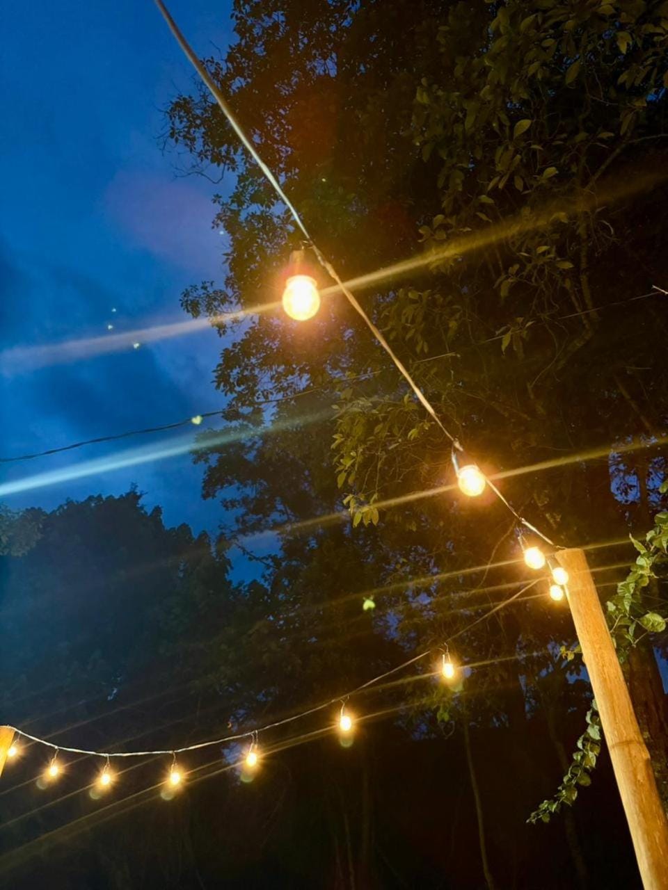 Night, Natural landscape, Entertainment