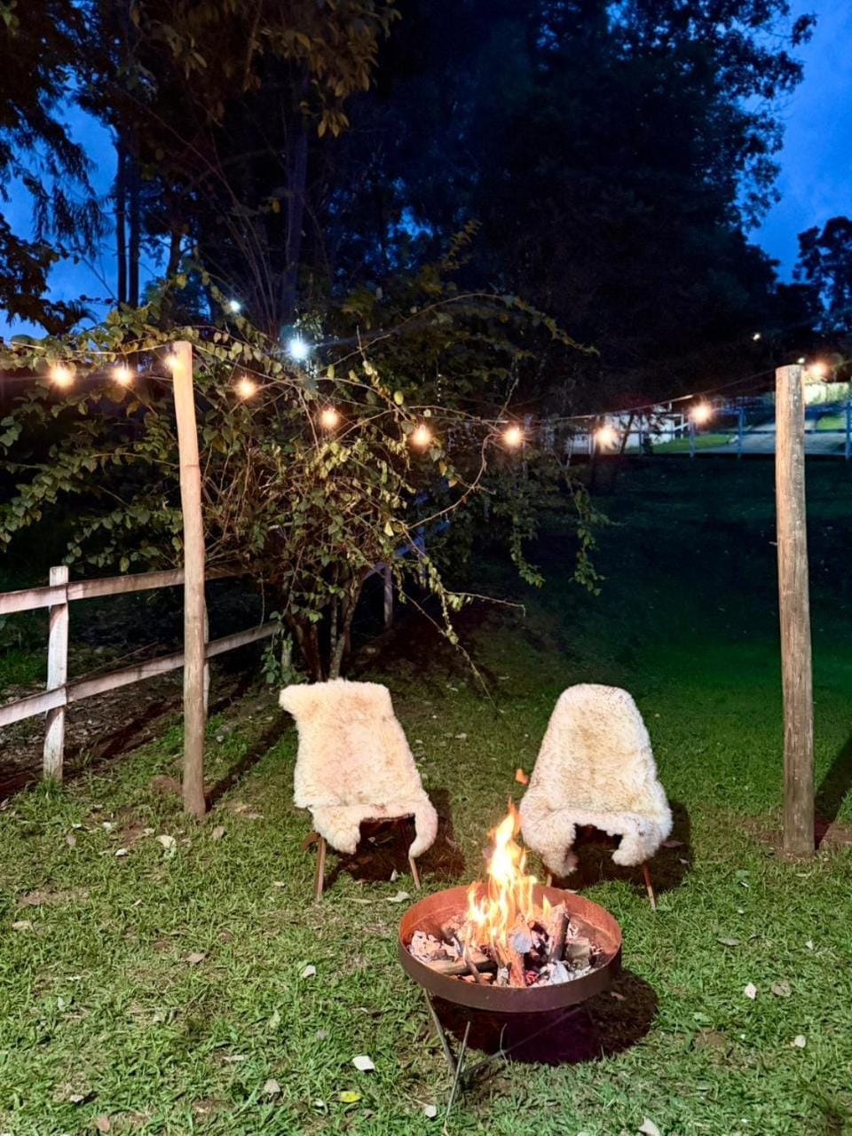 Patio, Night, Natural landscape, Garden, Garden view