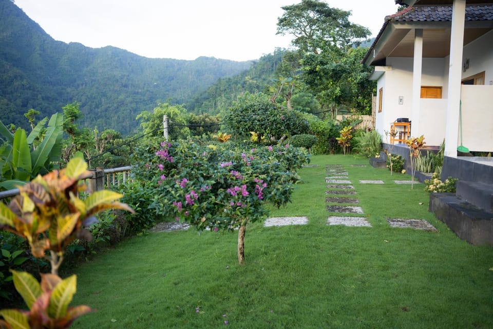 Natural landscape, Garden view, Mountain view