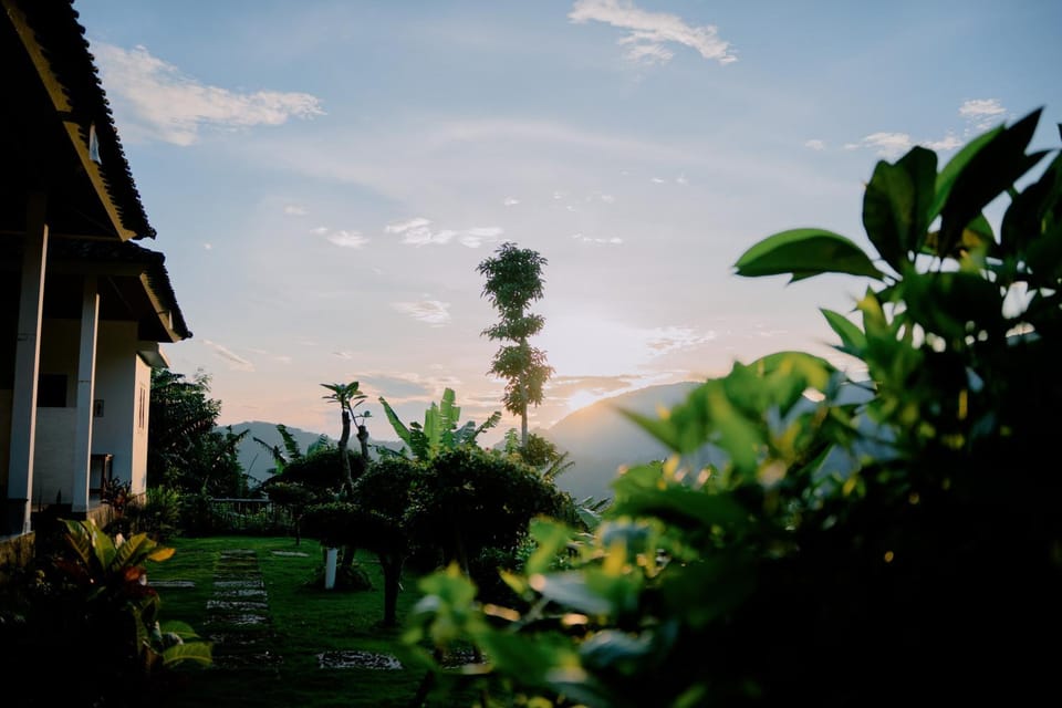 Natural landscape, Garden, Garden view