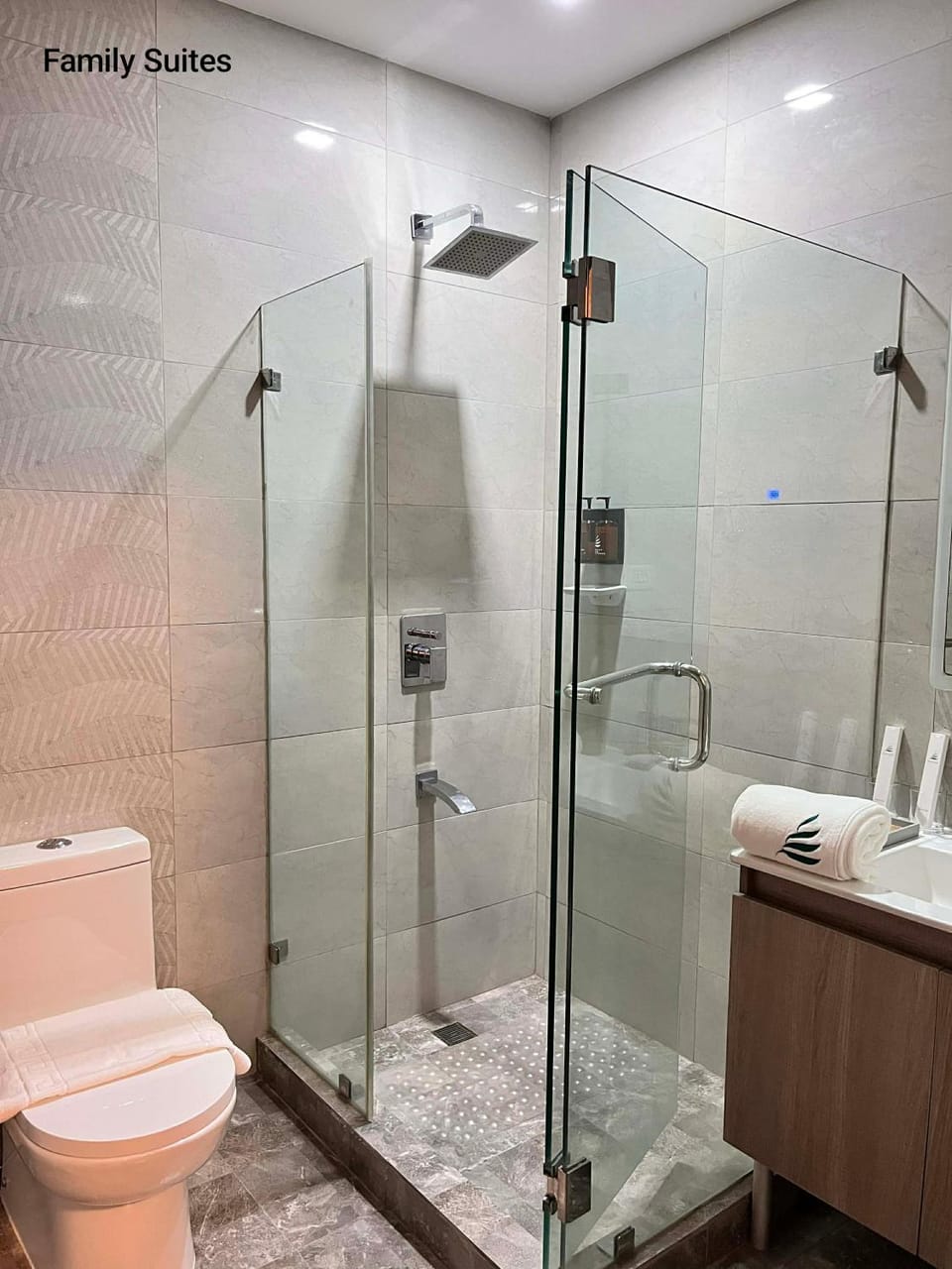 Shower, Toilet, Bathroom, towels