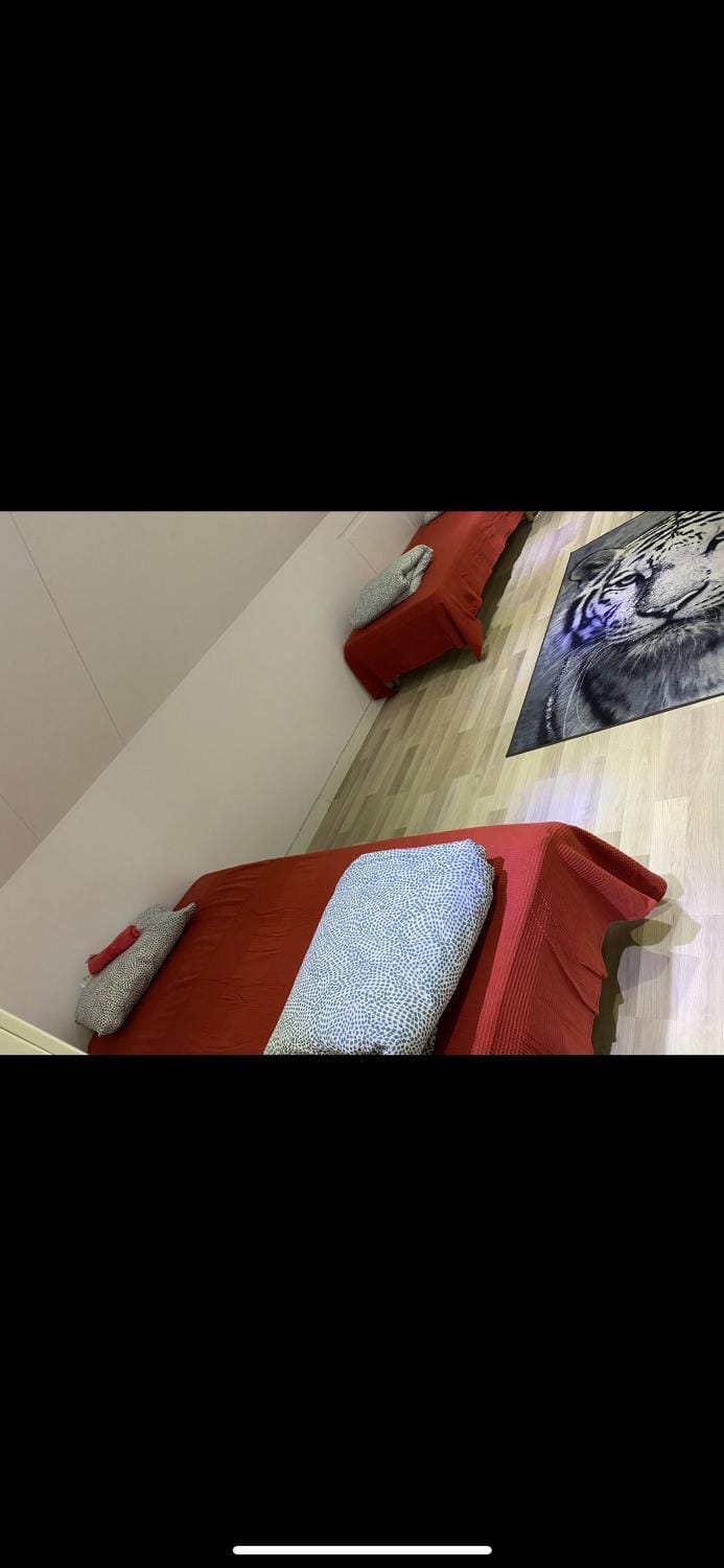 Bed, Living room, Bedroom