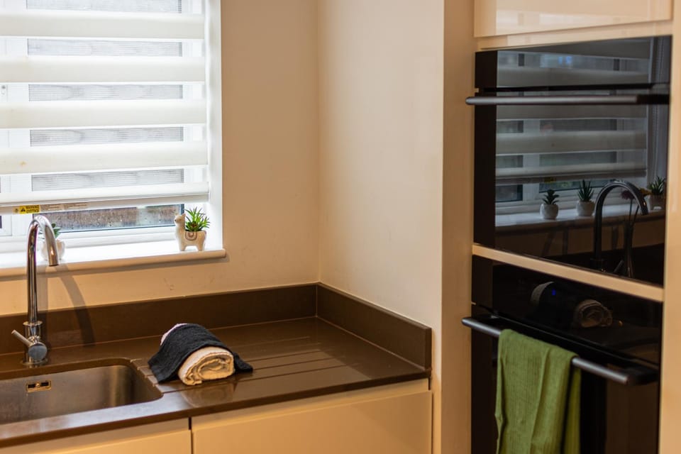 Kitchen or kitchenette, dishwasher, stove