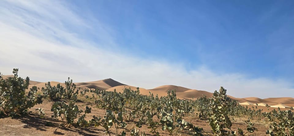 Desert feet Bed and Breakfast in Morocco