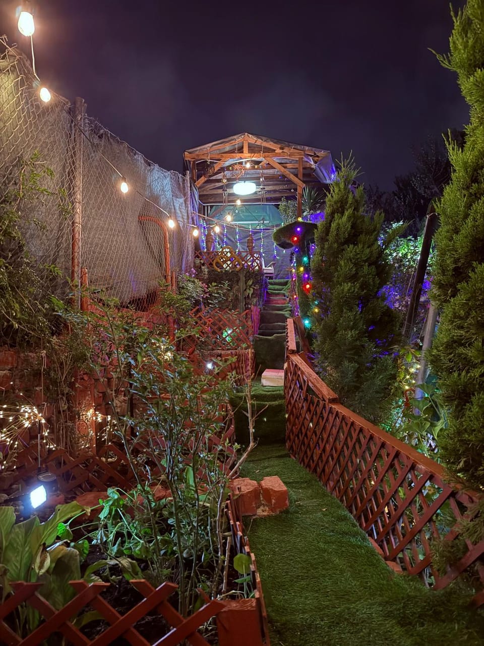 Night, Garden, Garden view
