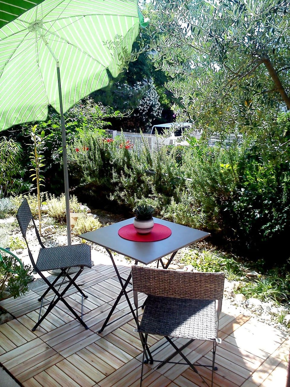 Garden
