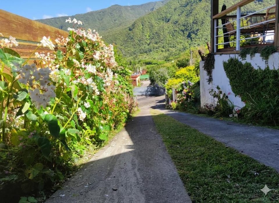 Garden, Garden view, Mountain view