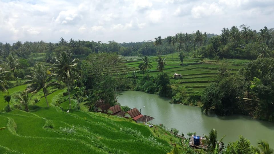 Lake view