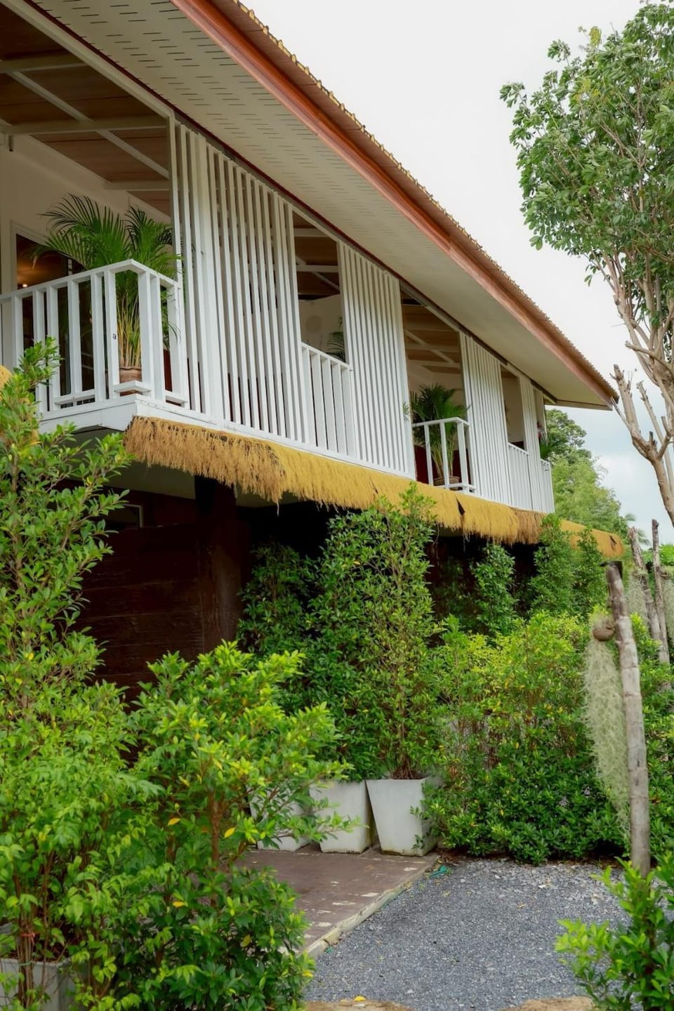 Lotus Apartments Koh Phangan Apartment in Ko Pha-ngan Sub-district