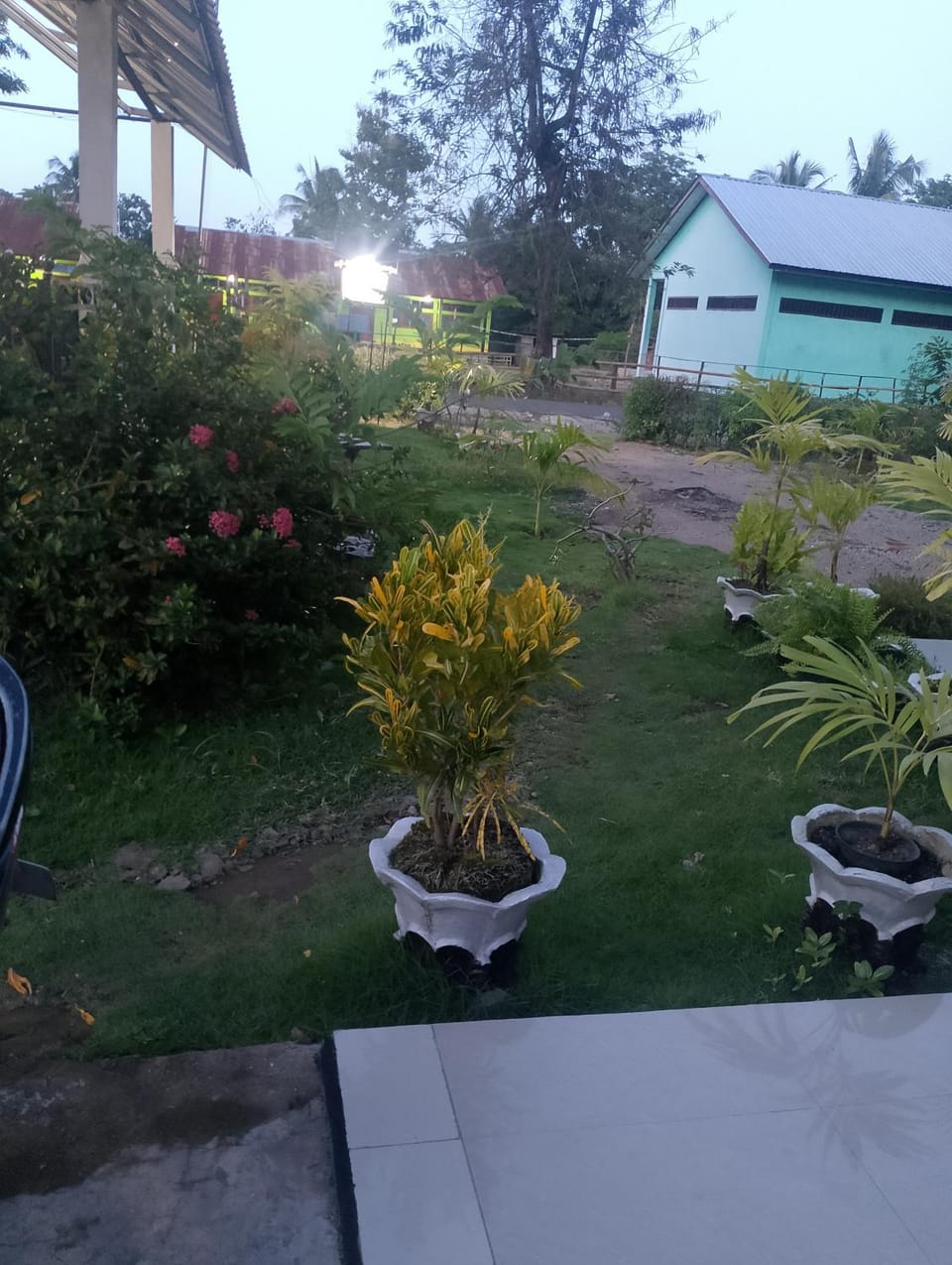 Liberty homestay Vacation rental in Indonesia