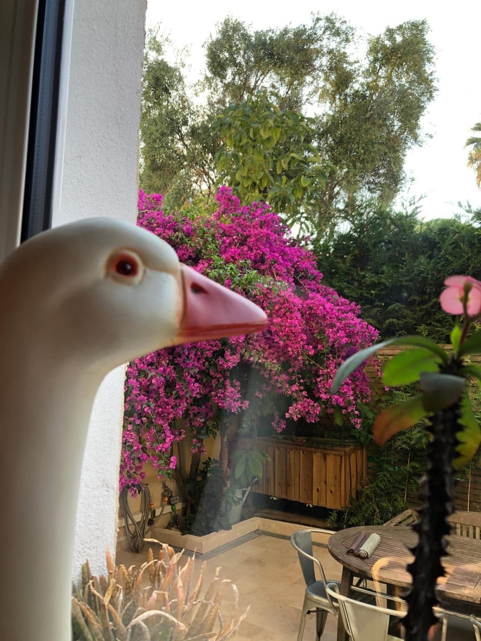 Sentez-vous comme à la maison près du palais Apartment in Cannes
