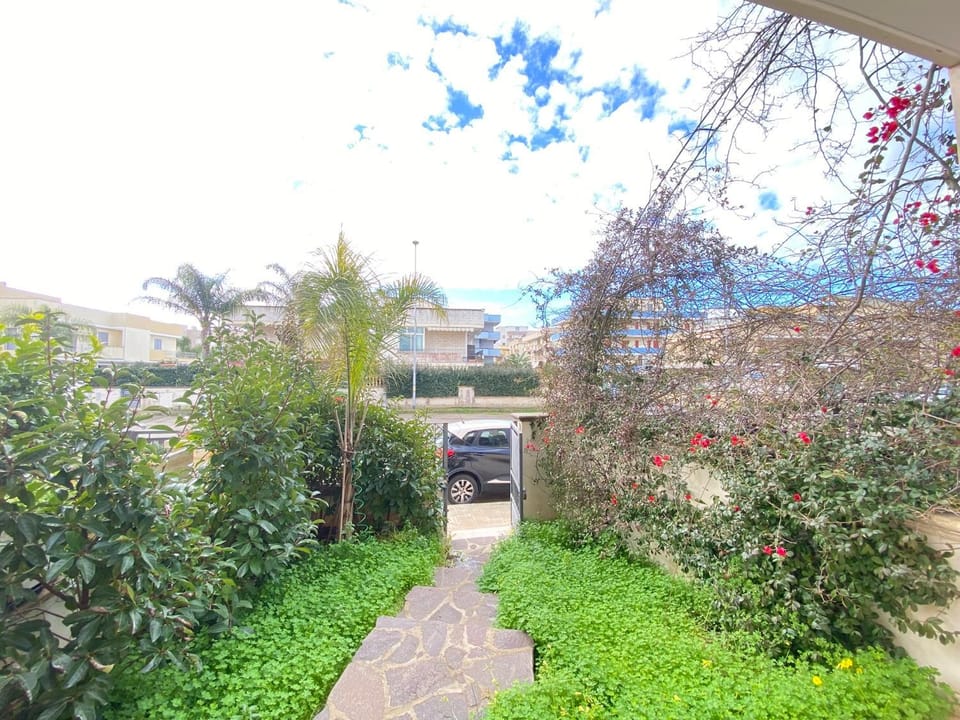 Property building, Garden, Garden view